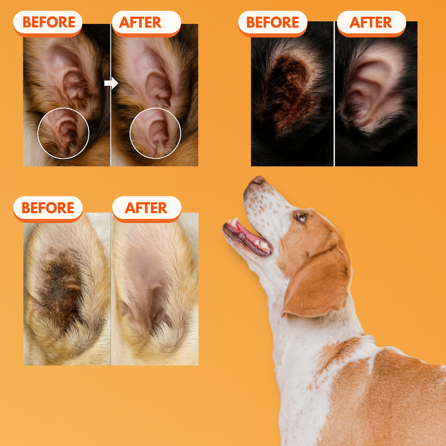 MyPawHaus Ear Powder